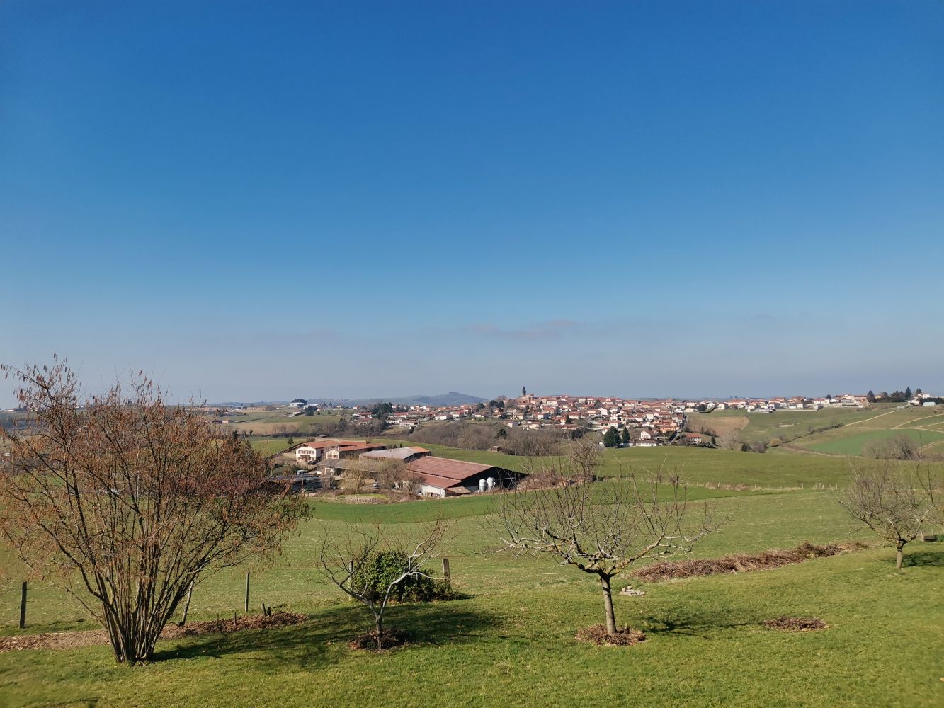 Grezieu le marché