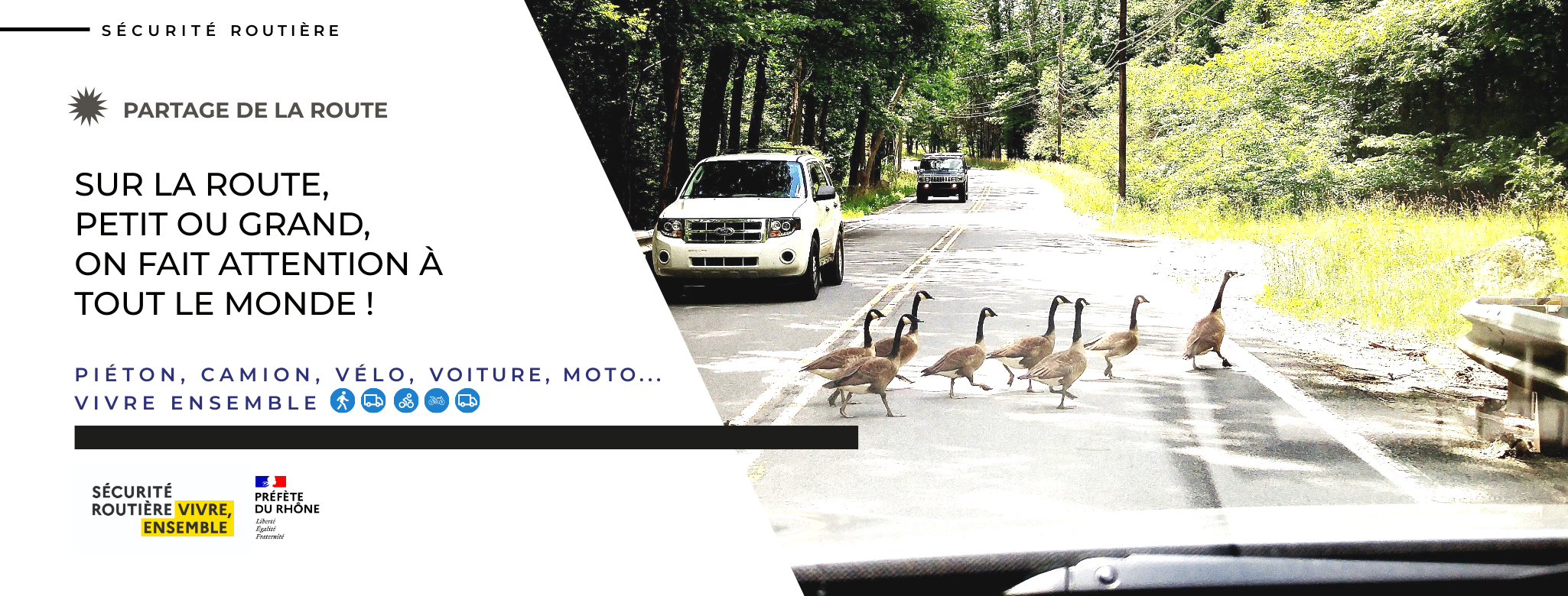 Canard partagedelaroute
